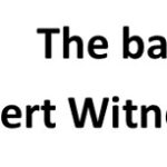 2 expert witness