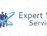 expert witness services copy